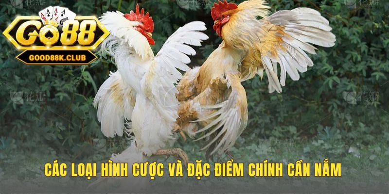 Phân biệt các loại hình cược và những lưu ý pháp lý liên quan