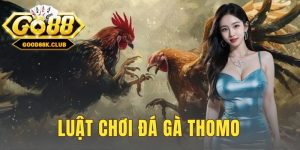 Luật Chơi Đá Gà Thomo