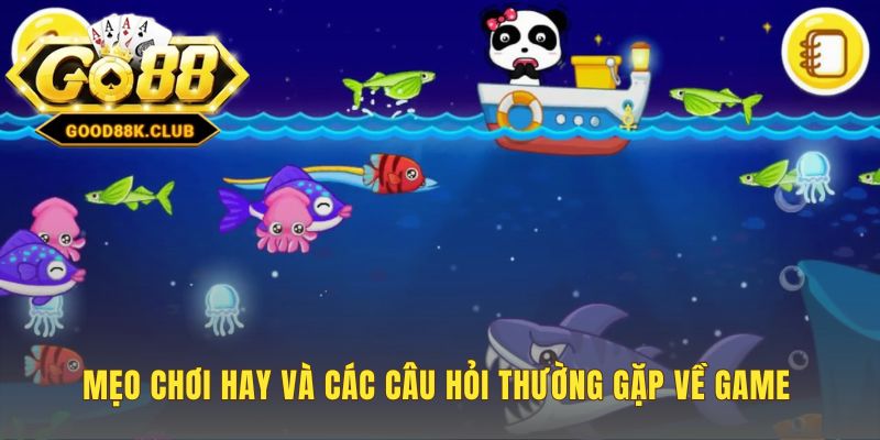 Tổng hợp mẹo chơi hay và giải đáp các câu hỏi thường gặp