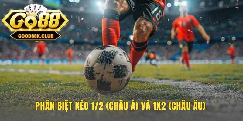 Hiểu kèo 1/2 là gì qua sự khác biệt với 1x2